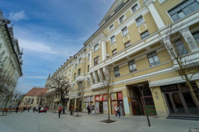 Historic Palace in main square-Unirii Plazza